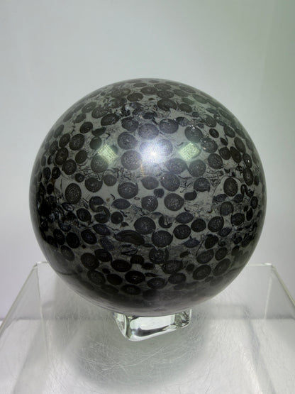 Leopardskin Jasper Sphere. 79mm. Gorgeous And Realistic Leopard Cheetah Patterns. Very Pretty Display Crystal