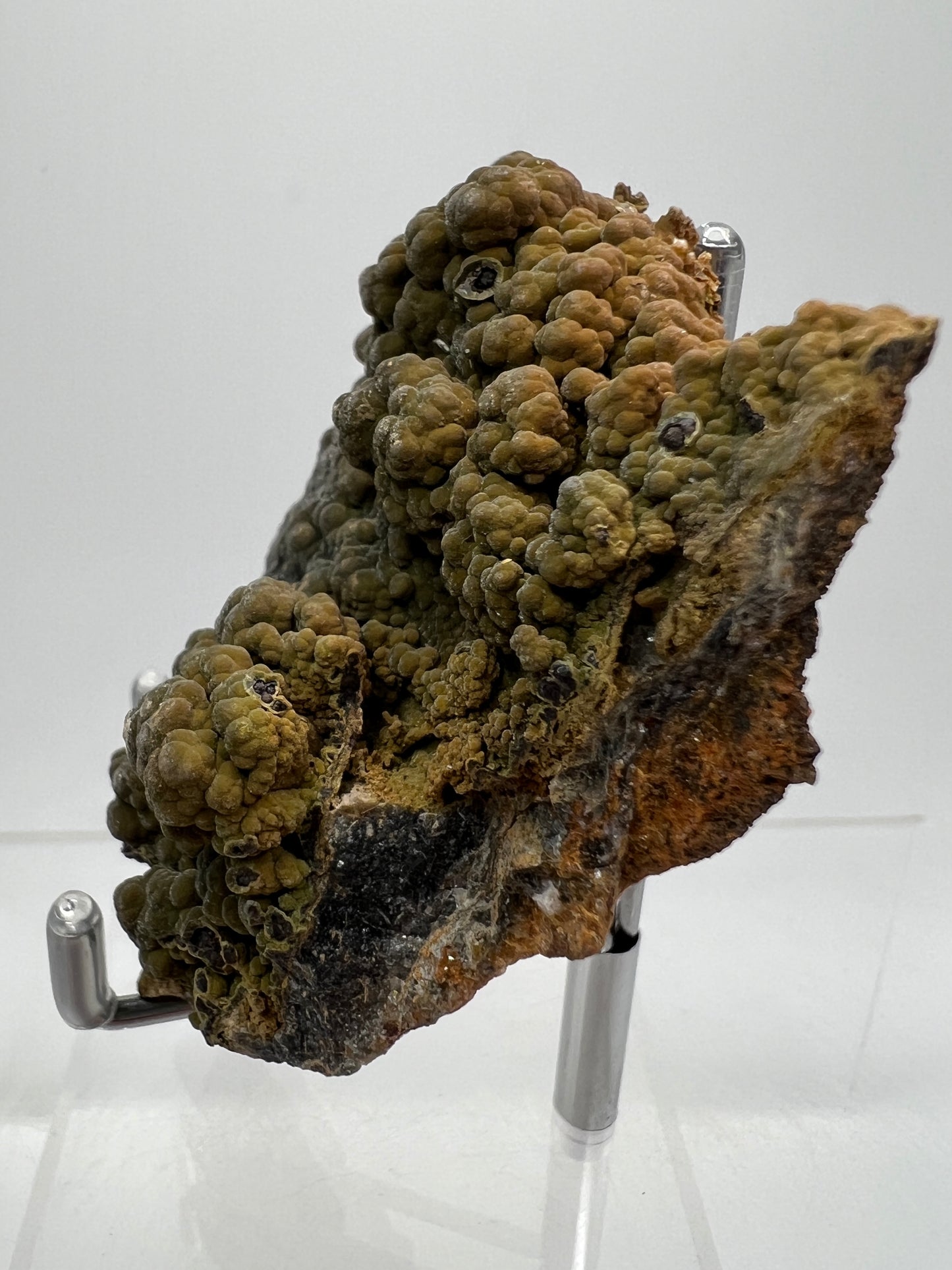 Mottramite Crystal Specimen. From The Famous 2011 Mexico Discovery. Top Quality Mineral Specimen. Very Rare Must Have For Any Collector.