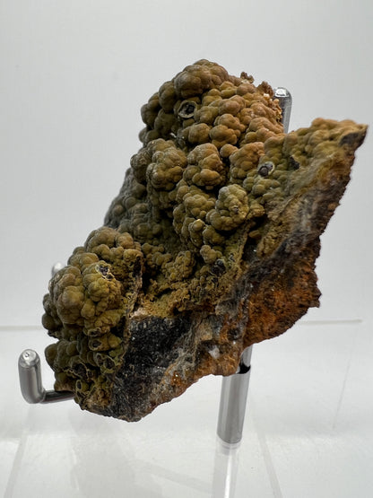 Mottramite Crystal Specimen. From The Famous 2011 Mexico Discovery. Top Quality Mineral Specimen. Very Rare Must Have For Any Collector.