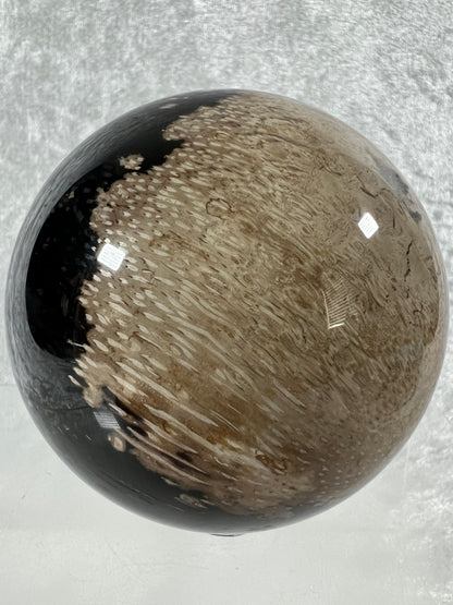Palm Root Agate Sphere. 76mm. Incredible Fossilized Black Palm Root Agate. Very High Quality Crystal Sphere.