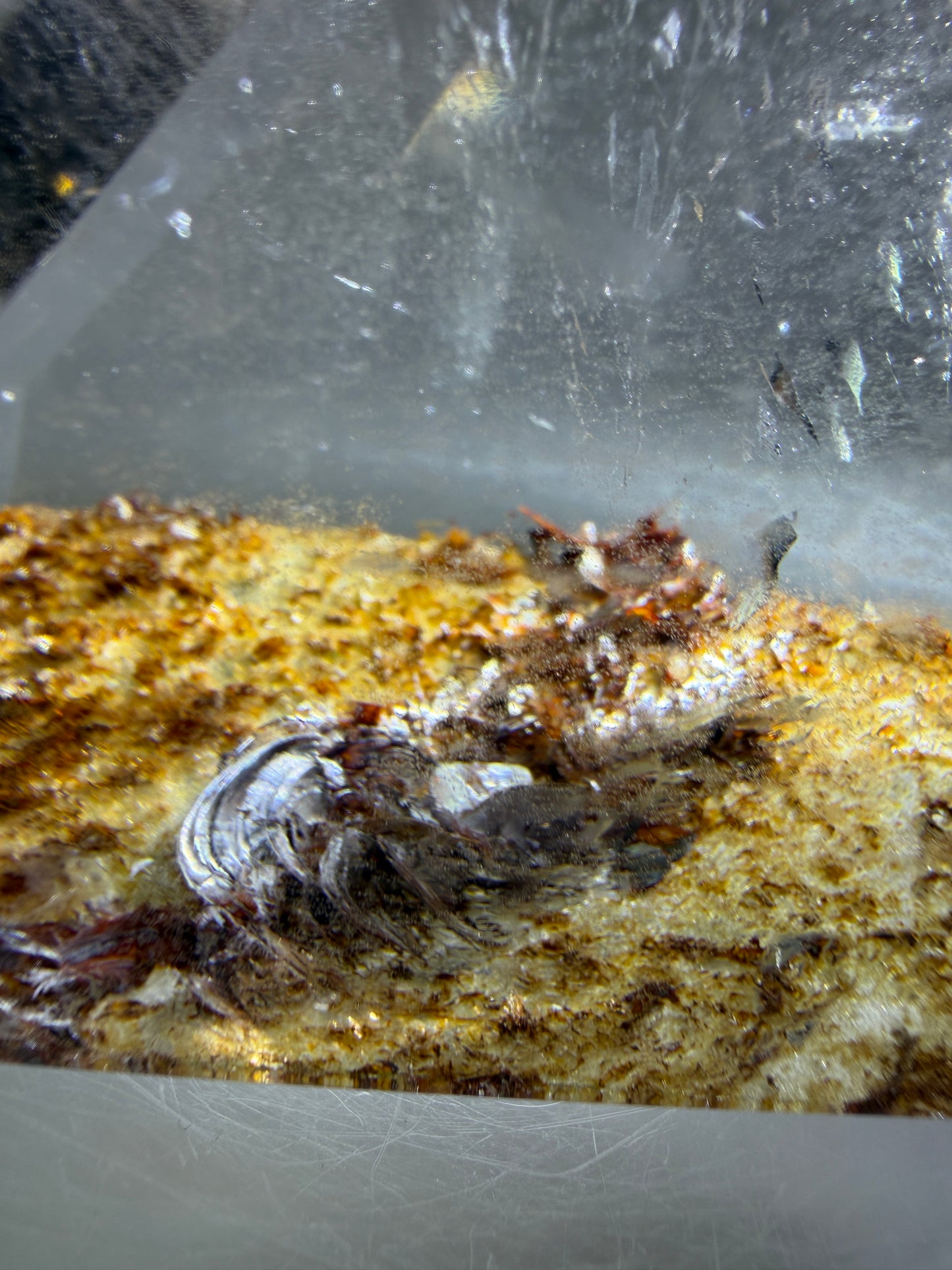 Garden Quartz Polished Freeform. Gorgeous Red And Yellow Landscape Quartz From Brazil. Very High Quality Lodolite Freeform.
