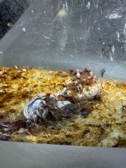 Garden Quartz Polished Freeform. Gorgeous Red And Yellow Landscape Quartz From Brazil. Very High Quality Lodolite Freeform.