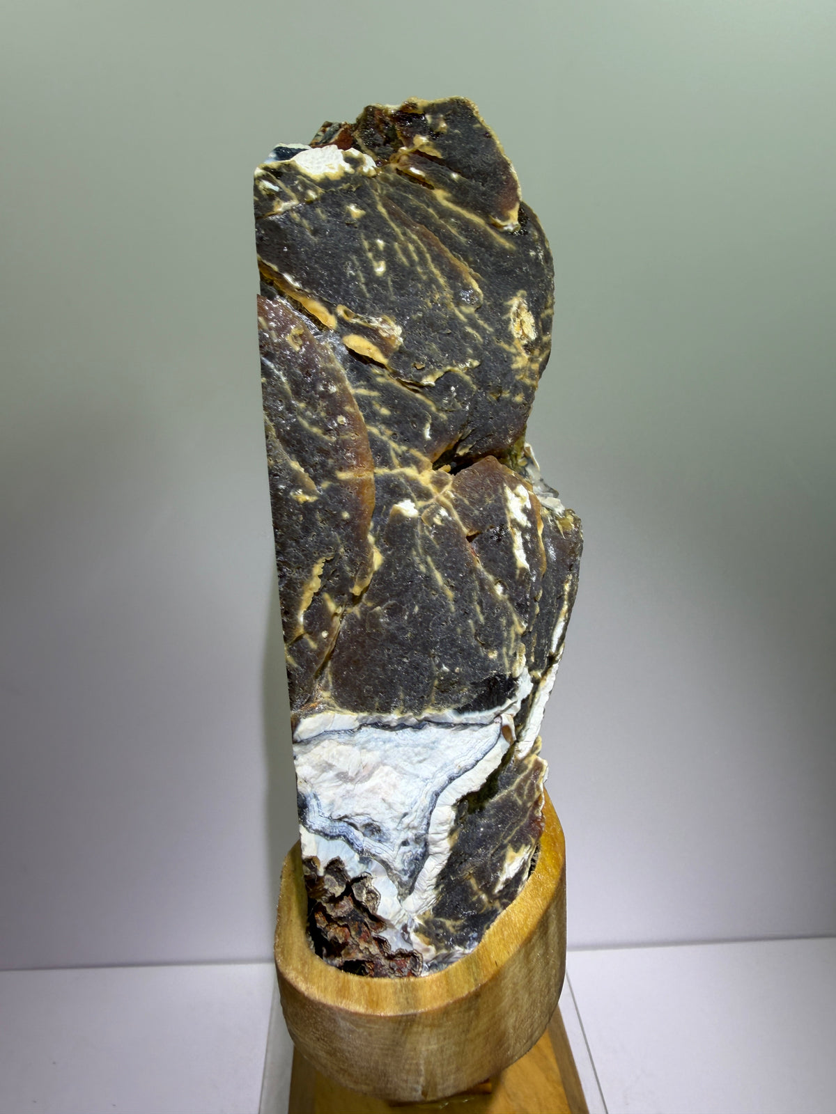 Botryoidal Black Jasper Specimen. Very Rare Geode From Brazil. High Quality Crystal With Custom Stand