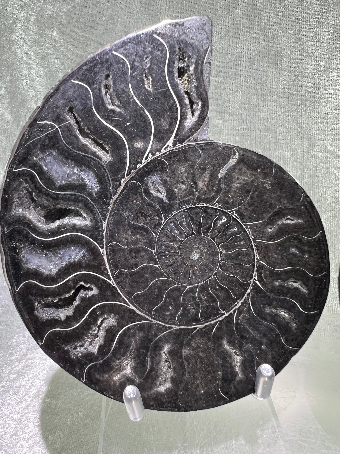 Black Ammonite Display Pair. Gorgeous Rare Fossil Specimen From Madagascar. Split And Polished With Amazing Druzy.