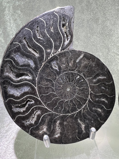 Black Ammonite Display Pair. Gorgeous Rare Fossil Specimen From Madagascar. Split And Polished With Amazing Druzy.