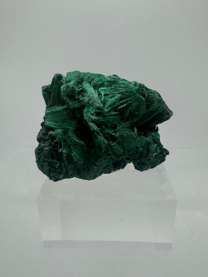 Malachite Display Specimen. Silky Malachite Cluster. High Quality Velvet Malachite From The Congo