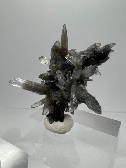 Veracruz Black Phantom Quartz Specimen. New Discovery From Mexico. Very Rare And Limited Collectors Piece. Stunning Display Crystal.