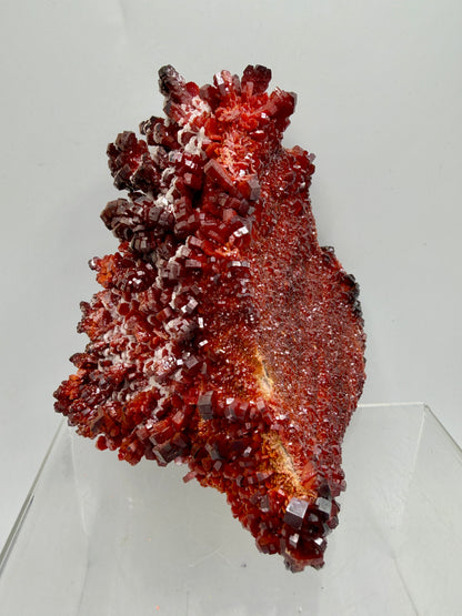 Vanadinite Crystal Specimen. Large High Quality Crystal Cluster. Gorgeous Mineral Specimen From Morocco
