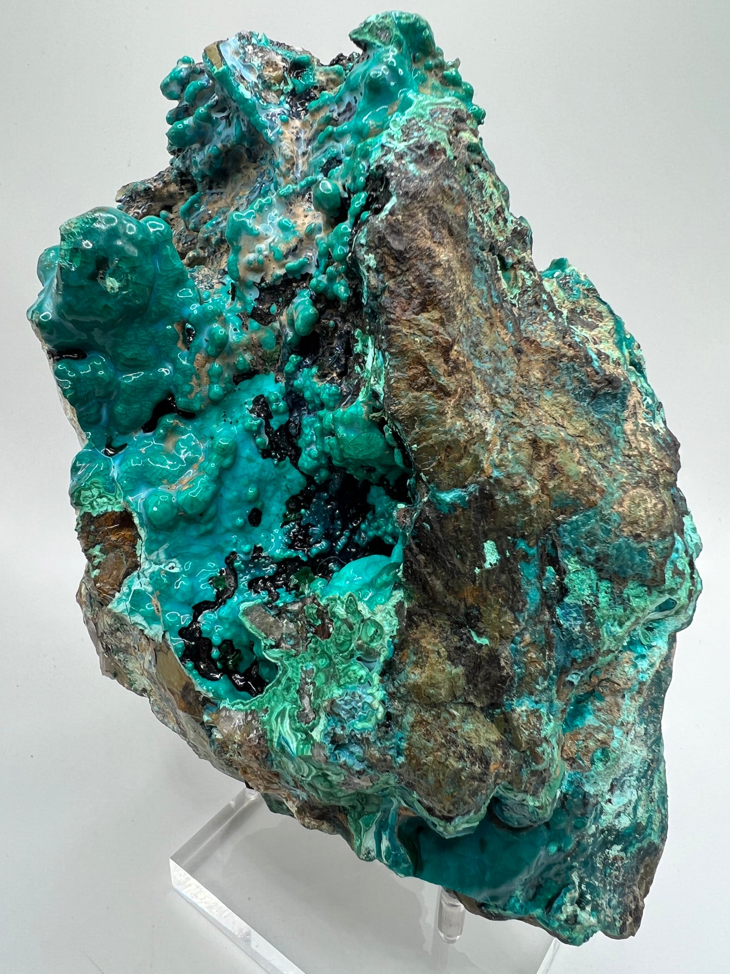 Silica Chrysocolla Specimen. Very Rare Display Crystal. High Quality Botryoidal Bubblegum Chrysocolla, Malachite, And Heterogenite.
