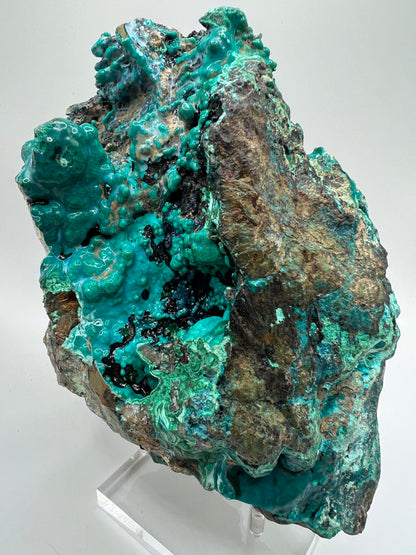 Silica Chrysocolla Specimen. Very Rare Display Crystal. High Quality Botryoidal Bubblegum Chrysocolla, Malachite, And Heterogenite.