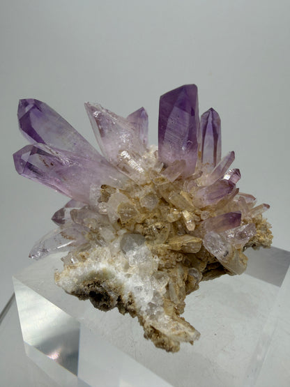 Veracruz Amethyst Display Cluster. Beautiful Dark Purple Specimen. World Famous Rare Amethyst