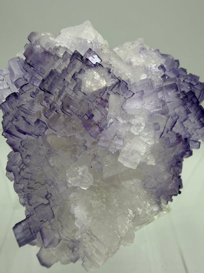 Muzquiz Purple Fluorite Specimen. Rare Mexican Fluorite Specimen. Gorgeous Collectible Display Crystal