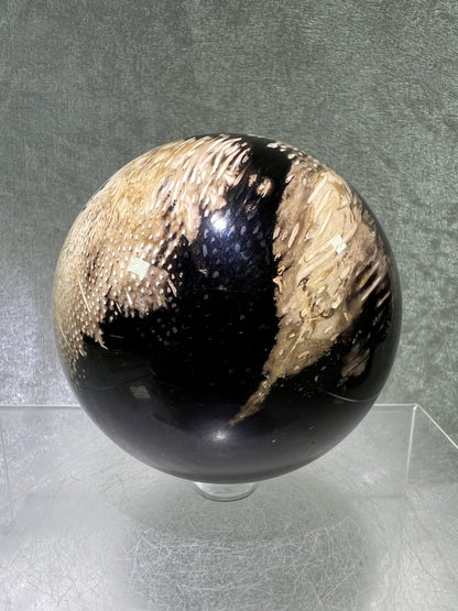 Palm Root Agate Sphere. 76mm. Incredible Fossilized Black Palm Root Agate. Very High Quality Crystal Sphere.