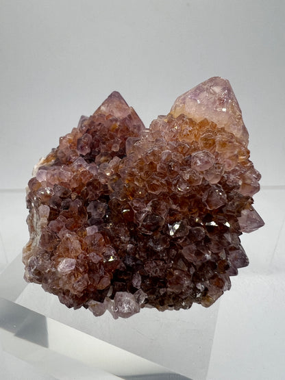 Spirit Quartz Cluster. Amazing Colors With Limonite Inclusions. Beautiful Ametrine Cactus Quartz, Fairy Quartz From South Africa.