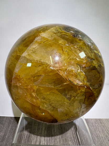 Dendritic Golden Healer Sphere. Huge Display Sphere. 127mm, 6.6 lbs. High Quality With Amazing Dendritic Inclusions.