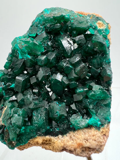 Dioptase Crystal Specimen. High Quality Flashy Mineral From The Congo. Gorgeous Colors And Cubes.
