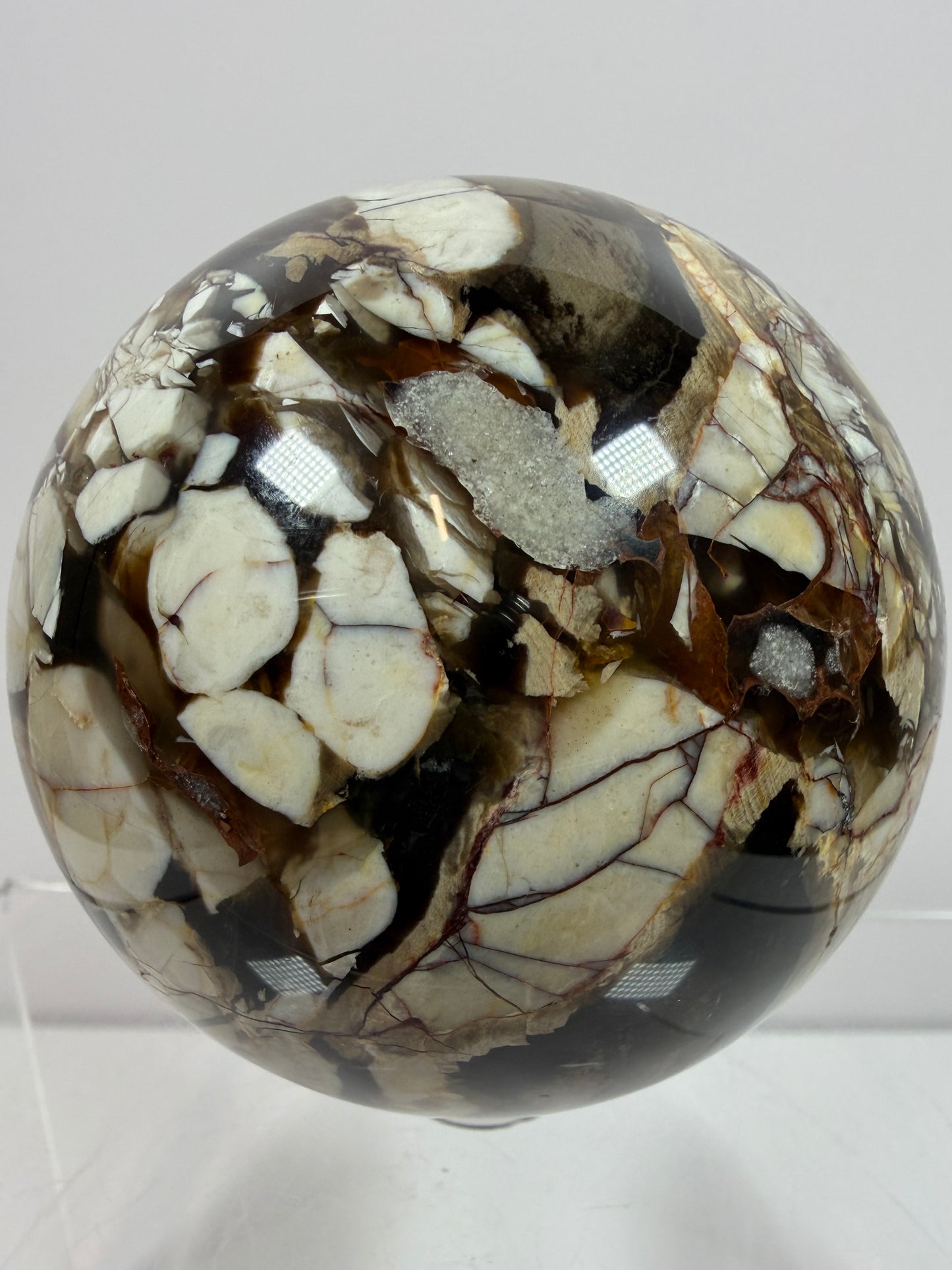 Peanut Wood Sphere. 67mm. Extremely Rare Australian Peanut Wood. Incredible Petrified Wood Display Sphere