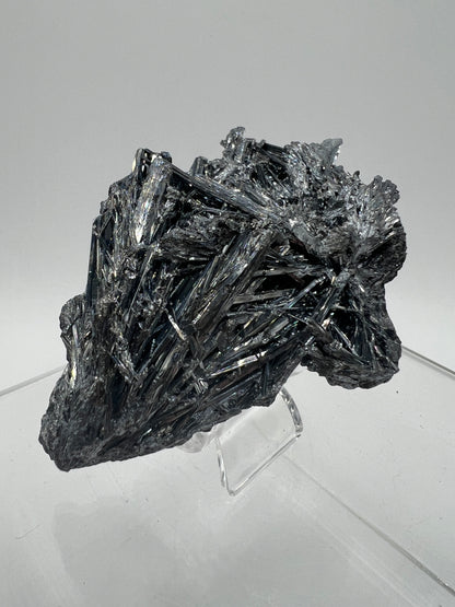 Stibnite Antimonite Specimen. Very Rare And Stunning Iridescent Crystal Cluster. Amazing Flashy Mineral Display