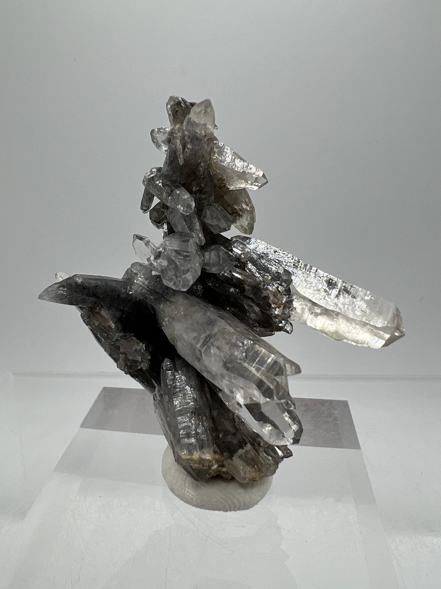 Veracruz Black Phantom Quartz Specimen. New Discovery From Mexico. Very Rare And Limited Collectors Piece. Stunning Display Crystal.