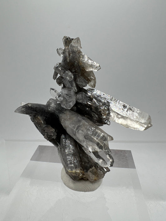 Veracruz Black Phantom Quartz Specimen. New Discovery From Mexico. Very Rare And Limited Collectors Piece. Stunning Display Crystal.