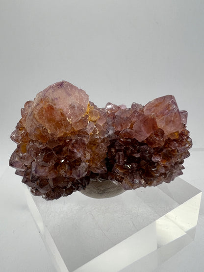 Spirit Quartz Cluster. Amazing Colors With Limonite Inclusions. Beautiful Ametrine Cactus Quartz, Fairy Quartz From South Africa.