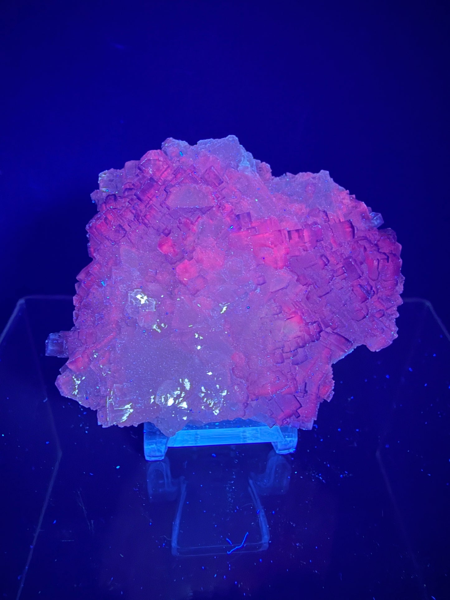 Muzquiz Purple Fluorite Specimen. Rare Mexican Fluorite Specimen. Gorgeous Collectible Display Crystal