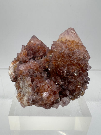 Spirit Quartz Cluster. Amazing Colors With Limonite Inclusions. Beautiful Ametrine Cactus Quartz, Fairy Quartz From South Africa.