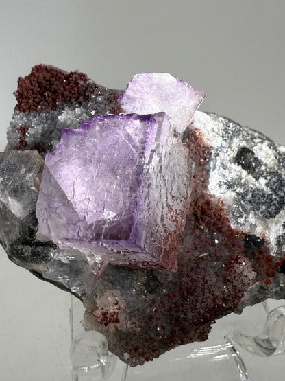 Purple Fluorite Cubes Specimen. Rare El Filo Mexican Fluorite Specimen. Gorgeous Collectible Display Crystal