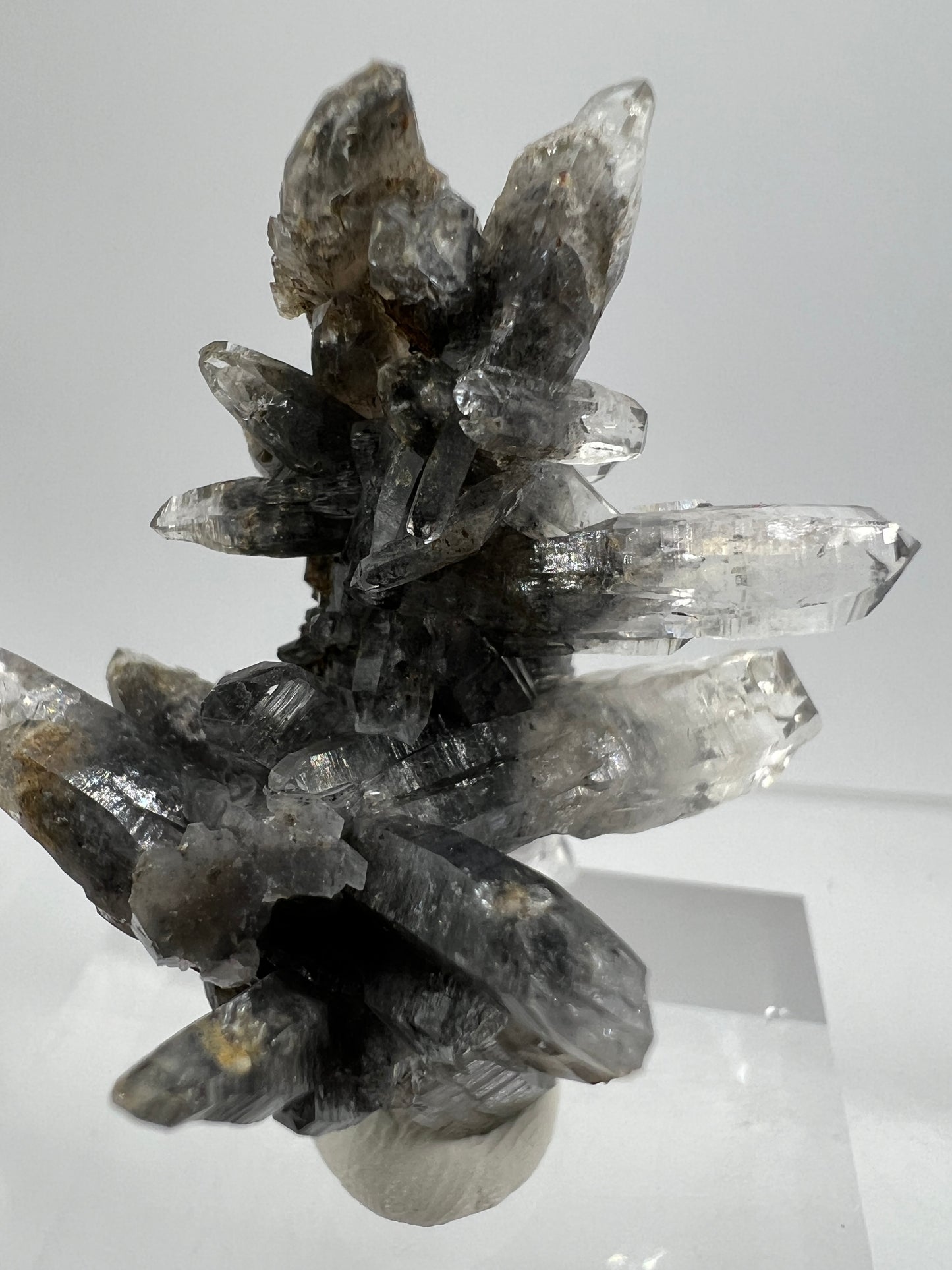 Veracruz Black Phantom Quartz Specimen. New Discovery From Mexico. Very Rare And Limited Collectors Piece. Stunning Display Crystal.