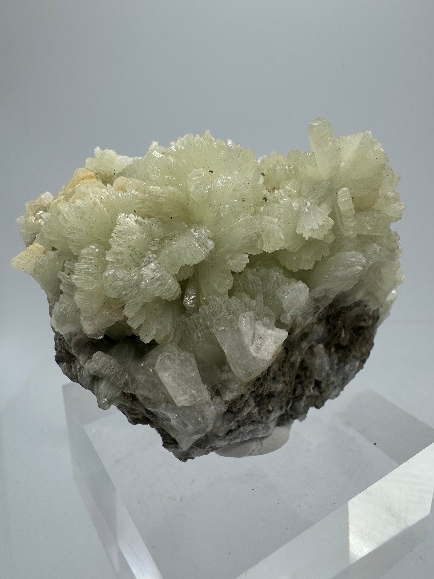Prehnite Specimen From Morocco. Stunning Light Green Crystal Clusters. Gorgeous Mineral Display