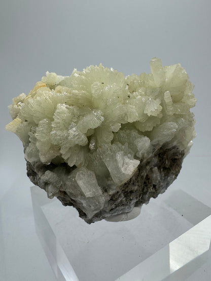 Prehnite Specimen From Morocco. Stunning Light Green Crystal Clusters. Gorgeous Mineral Display