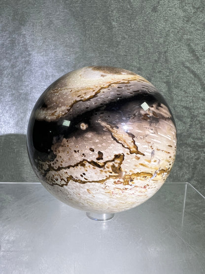 Palm Root Agate Sphere. 77mm. Gorgeous Fossilized Black Palm Root Agate. Very High Quality Crystal Sphere.