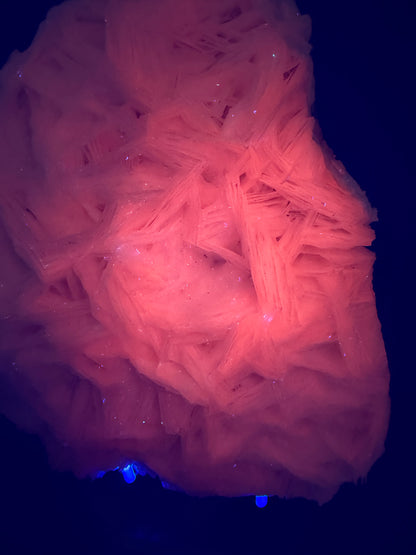 White Rose Bladed Calcite. Extra Large Angel Wing Calcite Specimen. High Quality UV Statement Piece.