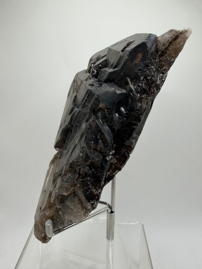 Elestial Quartz Specimen. High Quality Smoky Quartz Cluster. Amazing Colors, Excellent Windows, And Gorgeous Rainbows!