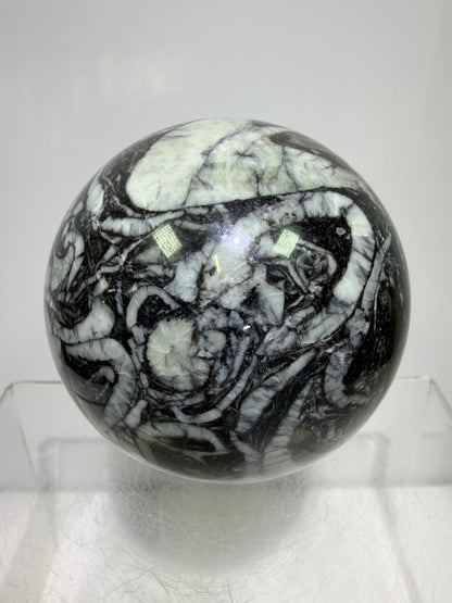 Black Crinoid Fossil Sphere: 66mm. High Quality Rare Crystal Sphere. Incredible One Of A Kind Display Sphere.