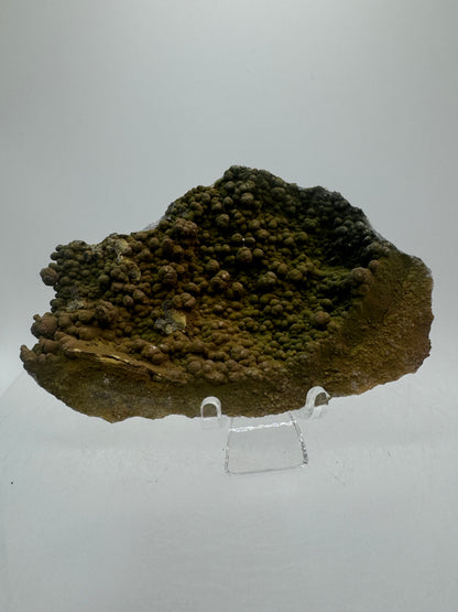 Mottramite Crystal Specimen. From The Famous 2011 Mexico Discovery. Top Quality Mineral Specimen. Very Rare Must Have For Any Collector.