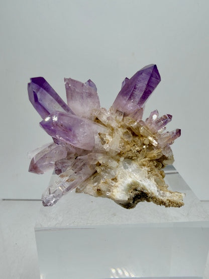 Veracruz Amethyst Display Cluster. Beautiful Dark Purple Specimen. World Famous Rare Amethyst