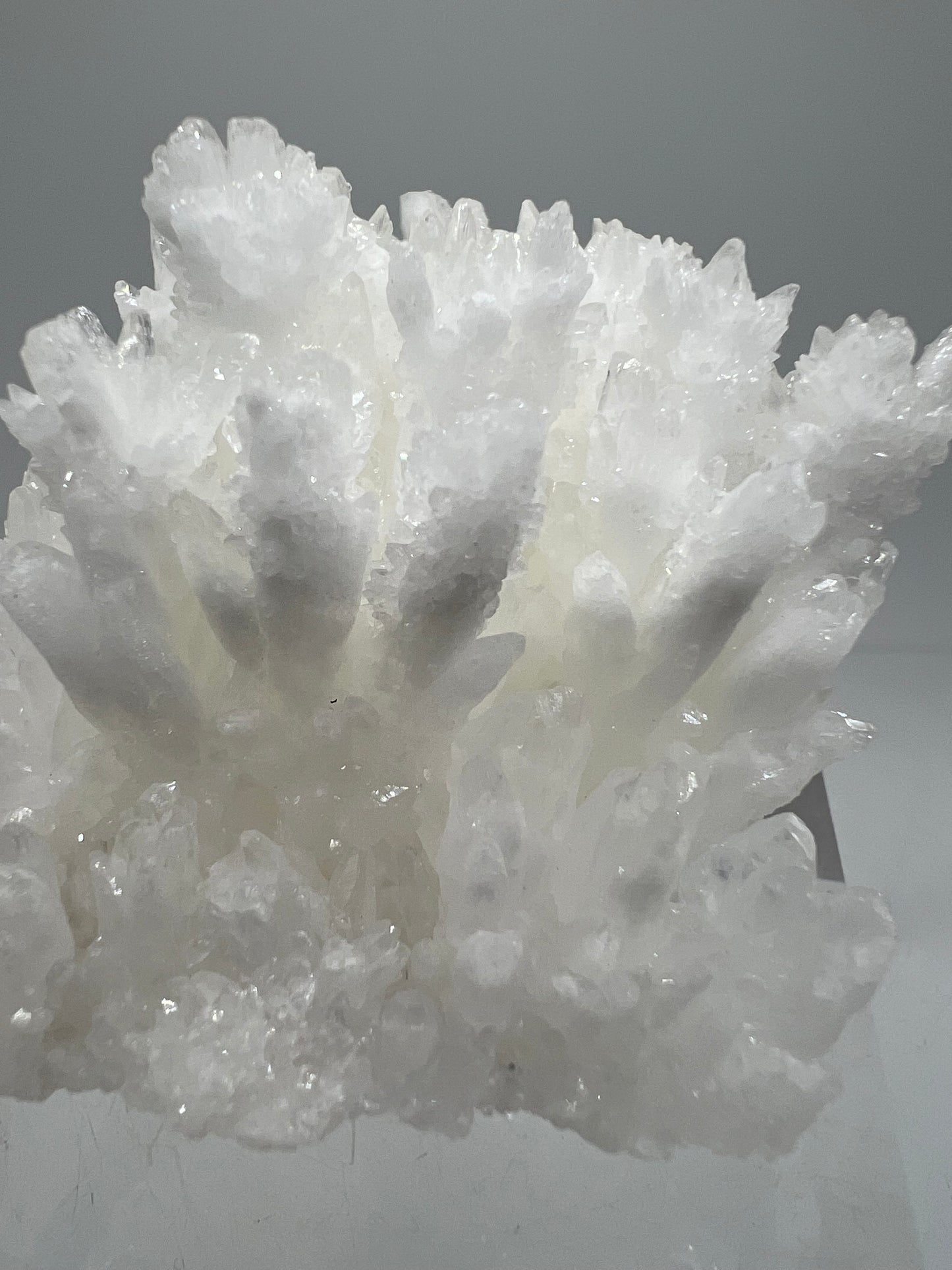 White Aragonite Crystal Specimen. Amazing Cave Calcite From Mexico.