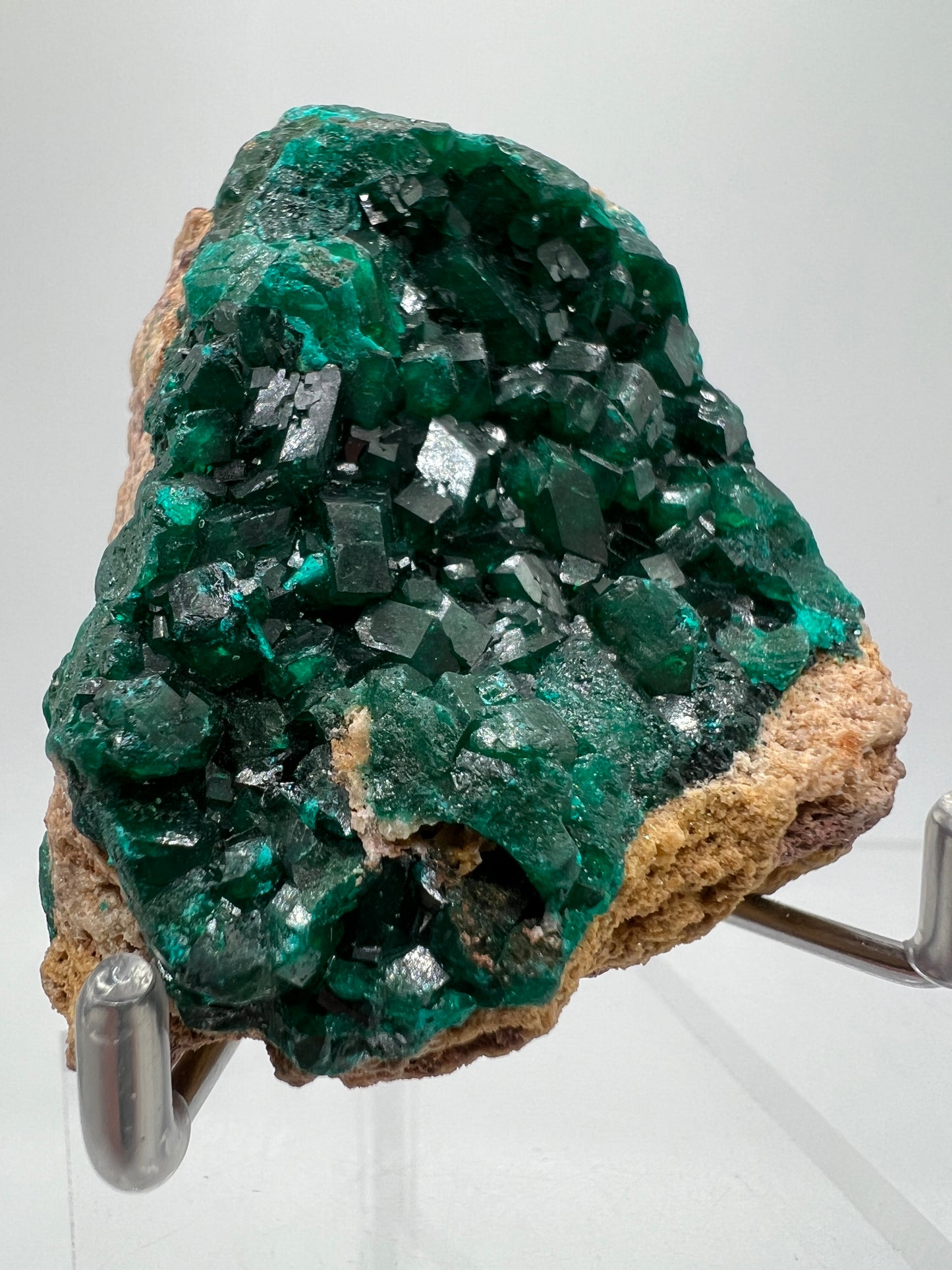 Dioptase Crystal Specimen. High Quality Flashy Mineral From The Congo. Gorgeous Colors And Cubes.