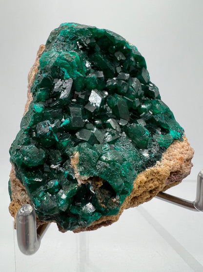 Dioptase Crystal Specimen. High Quality Flashy Mineral From The Congo. Gorgeous Colors And Cubes.