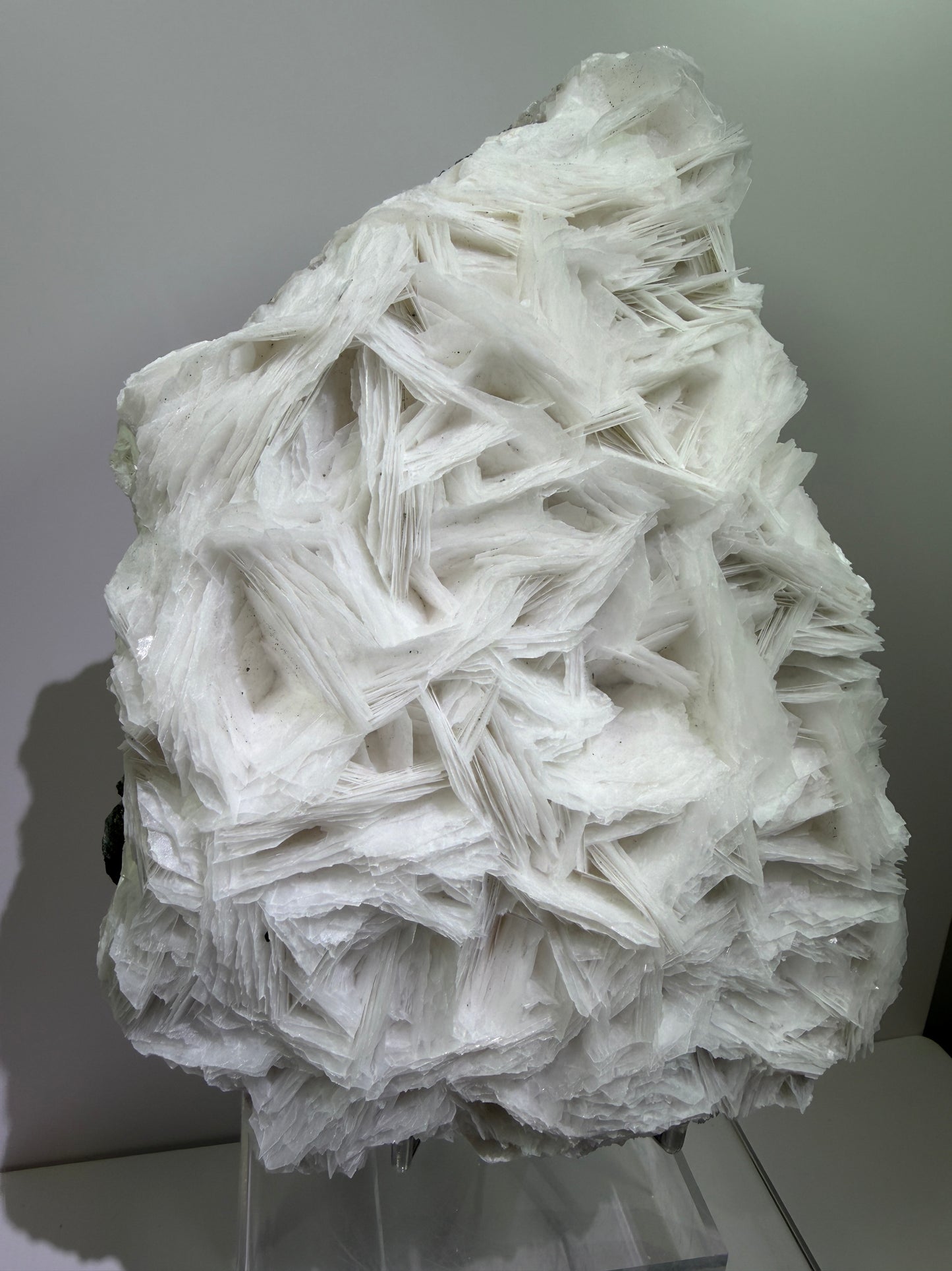 White Rose Bladed Calcite. Extra Large Angel Wing Calcite Specimen. High Quality UV Statement Piece.