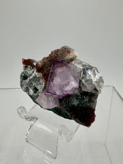 Purple Fluorite Cubes Specimen. Rare El Filo Mexican Fluorite Specimen. Gorgeous Collectible Display Crystal