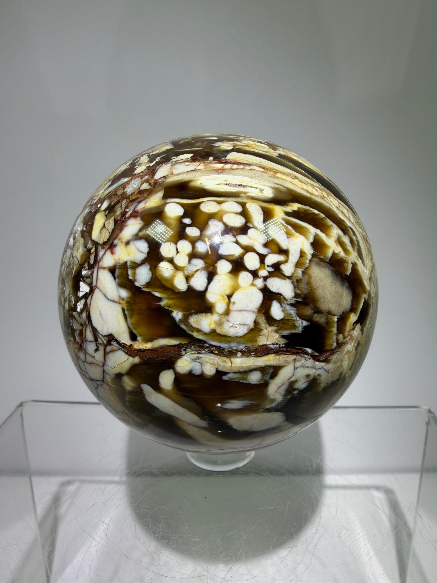 Peanut Wood Sphere. 67mm. Extremely Rare Australian Peanut Wood. Incredible Petrified Wood Display Sphere