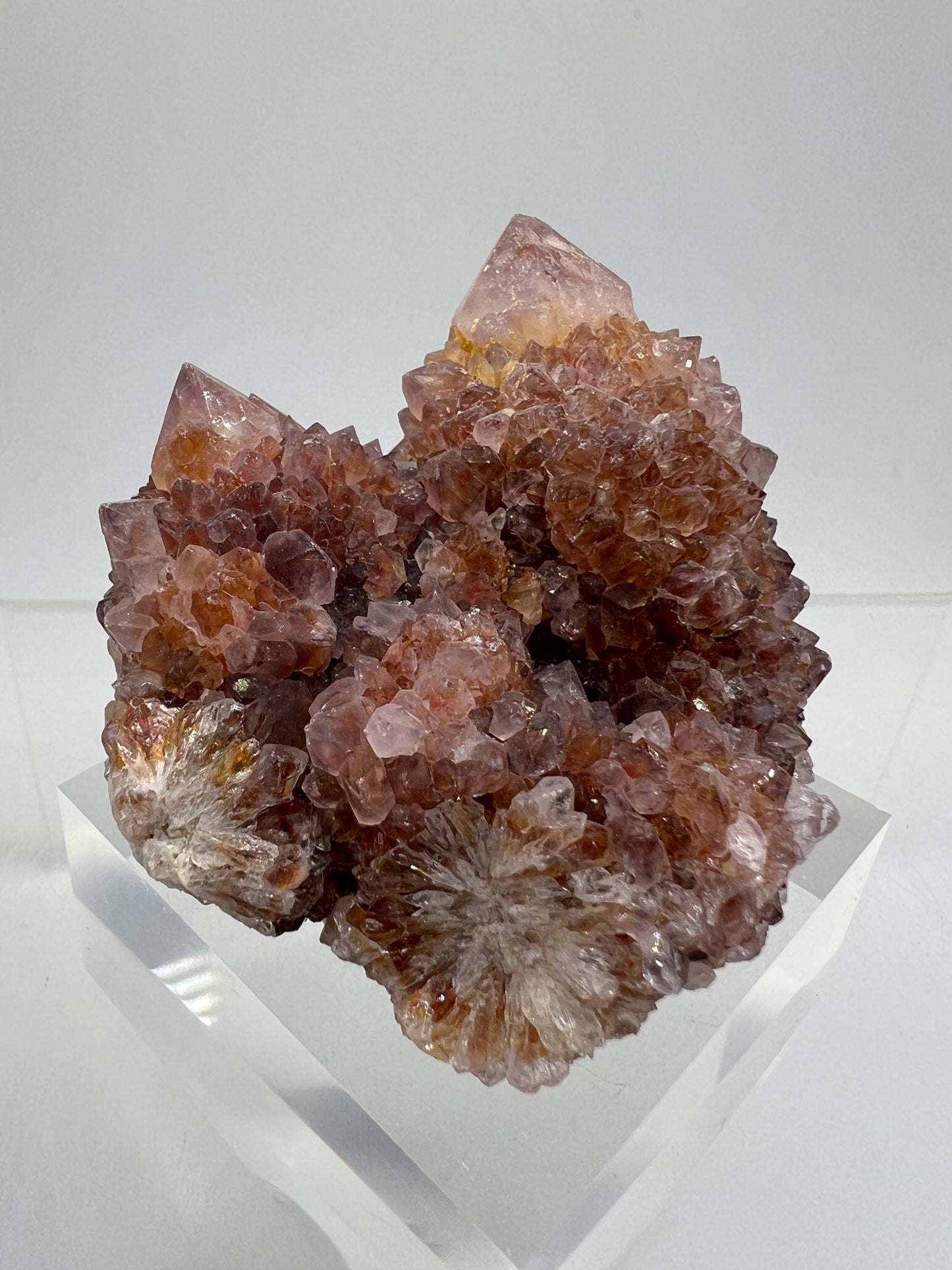 Spirit Quartz Cluster. Amazing Colors With Limonite Inclusions. Beautiful Ametrine Cactus Quartz, Fairy Quartz From South Africa.