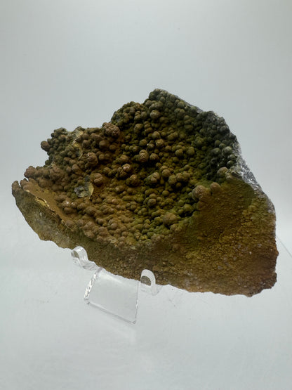 Mottramite Crystal Specimen. From The Famous 2011 Mexico Discovery. Top Quality Mineral Specimen. Very Rare Must Have For Any Collector.