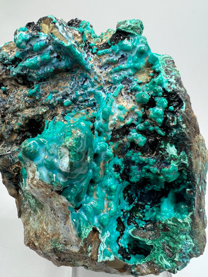Silica Chrysocolla Specimen. Very Rare Display Crystal. High Quality Botryoidal Bubblegum Chrysocolla, Malachite, And Heterogenite.