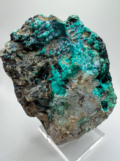 Silica Chrysocolla Specimen. Very Rare Display Crystal. High Quality Botryoidal Bubblegum Chrysocolla, Malachite, And Heterogenite.