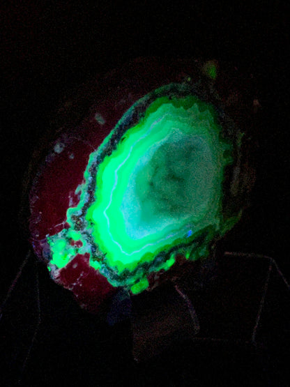 Trancas Geode Specimen From Mexico. A Beautiful Half Geode With Stunning Sugar Druzy. Gorgeous Shortwave UV Reaction!