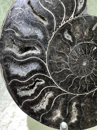 Black Ammonite Display Pair. Gorgeous Rare Fossil Specimen From Madagascar. Split And Polished With Amazing Druzy.