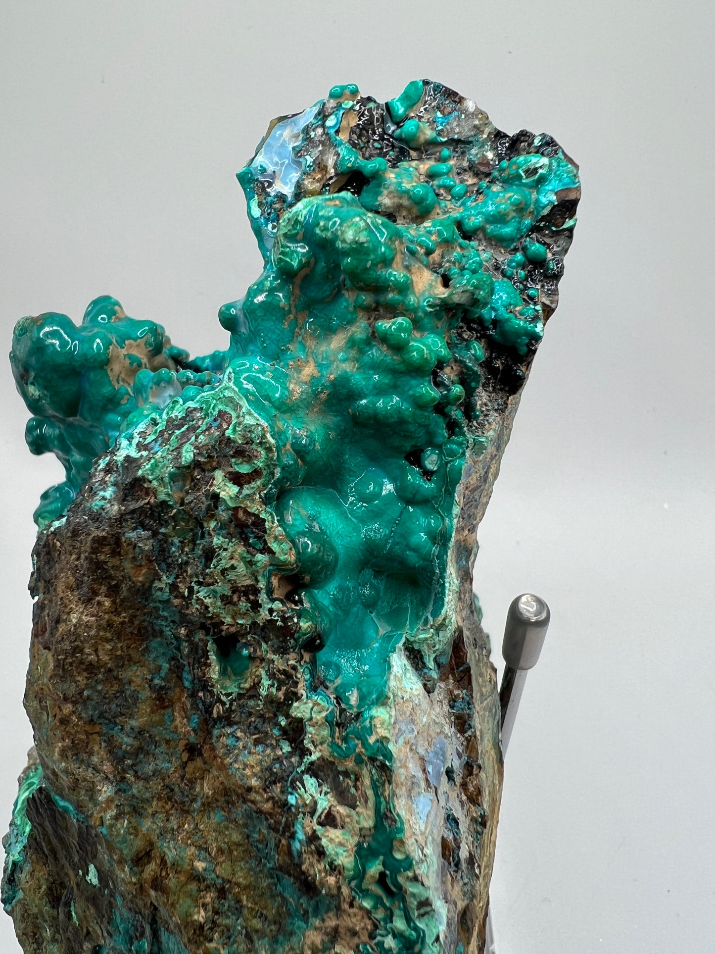 Silica Chrysocolla Specimen. Very Rare Display Crystal. High Quality Botryoidal Bubblegum Chrysocolla, Malachite, And Heterogenite.